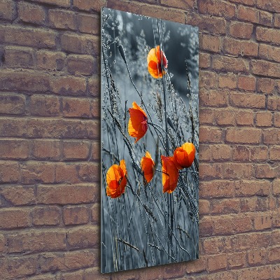 Bild auf Acrylglas vertikal Wildmohn