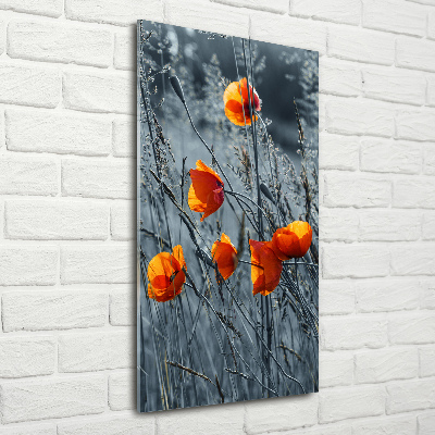 Bild auf Acrylglas vertikal Wildmohn