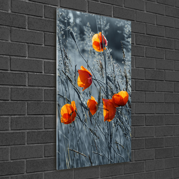 Bild auf Acrylglas vertikal Wildmohn