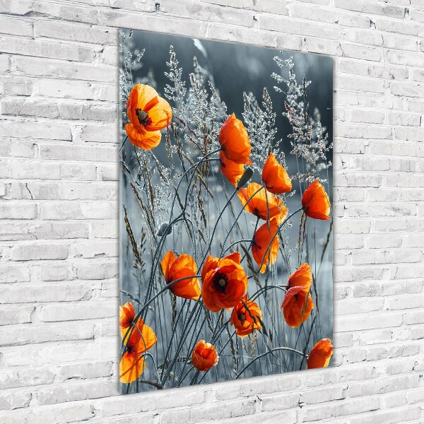 Bild auf Acrylglas vertikal Wildmohn