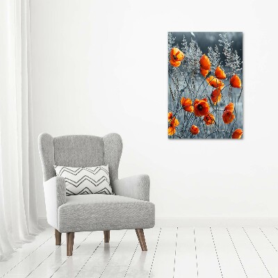 Bild auf Acrylglas vertikal Wildmohn