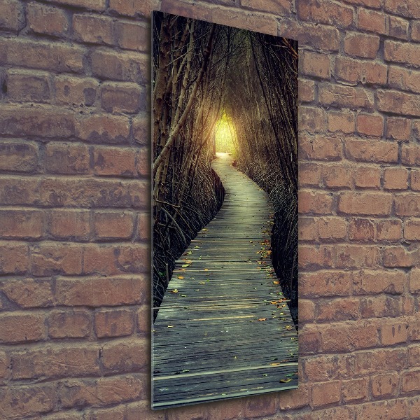 Bild auf Acrylglas vertikal Pfad im Wald