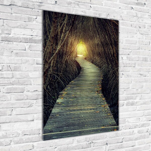 Bild auf Acrylglas vertikal Pfad im Wald