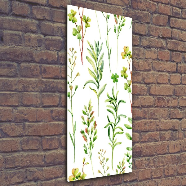 Bild auf Acrylglas vertikal Unkräuter und Kräuter