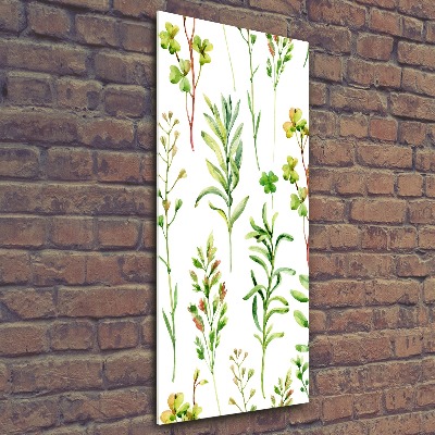 Bild auf Acrylglas vertikal Unkräuter und Kräuter