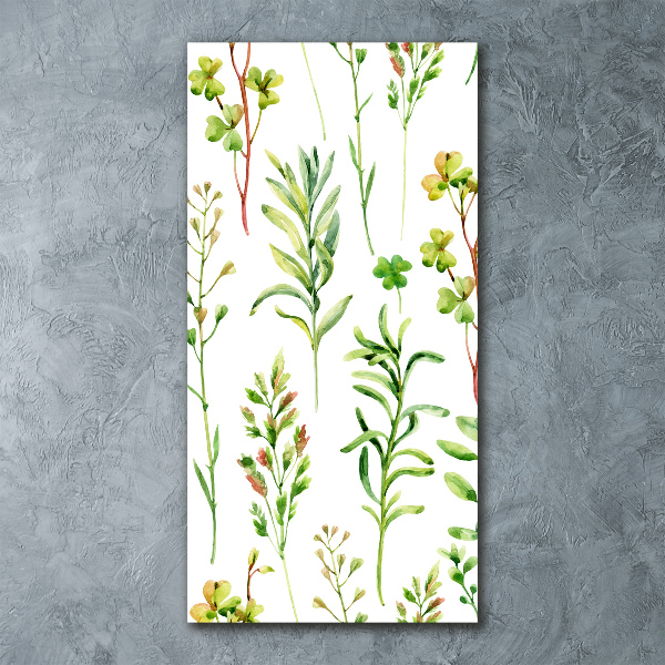 Bild auf Acrylglas vertikal Unkräuter und Kräuter