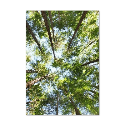 Bild auf Acrylglas vertikal Baumkrone
