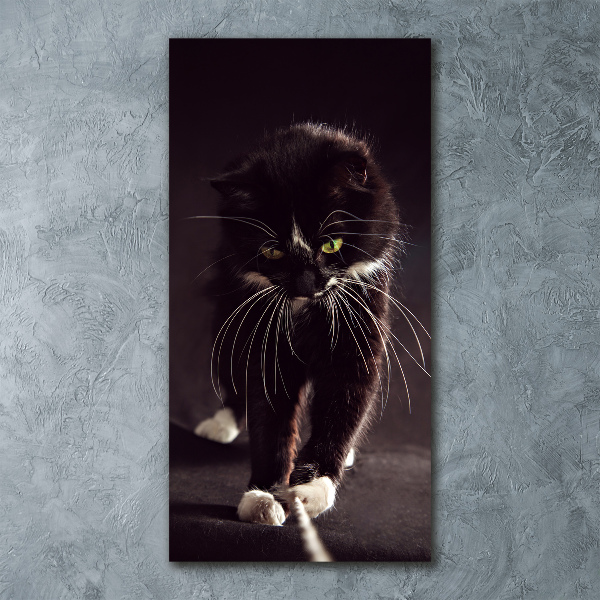 Acrylbild vertikal Schwarze Katze