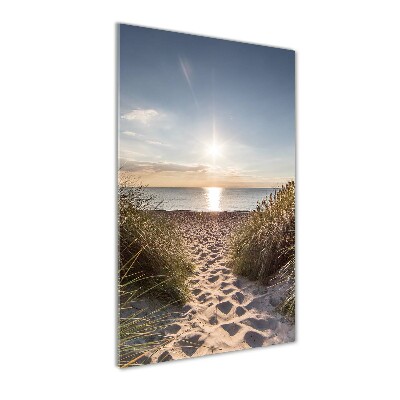 Plexiglasbilder vertikal Küstendünen