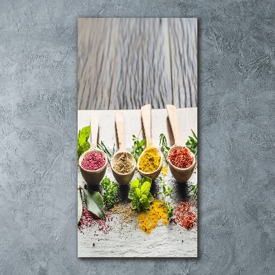 Plexiglasbilder vertikal Gewürze