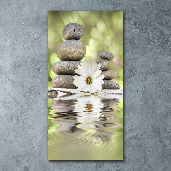 Bild auf Acrylglas vertikal Steine ​​und Blumen