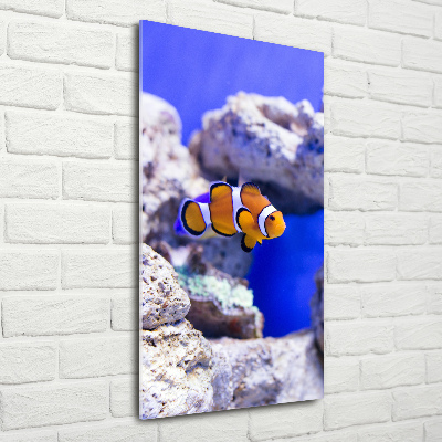 Acrylbild vertikal Nemo der Fisch