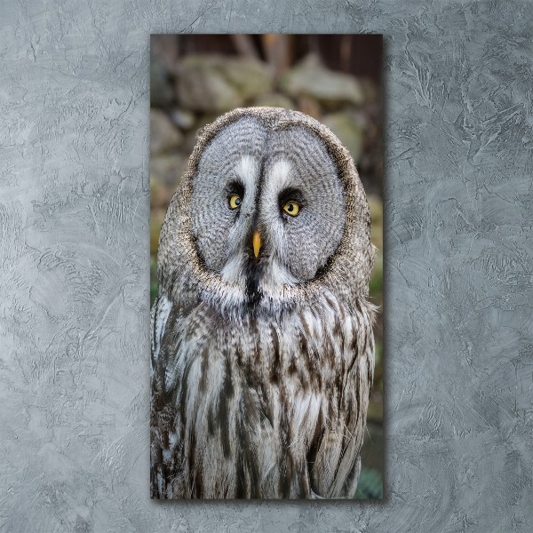 Bild auf Acrylglas vertikal Eule