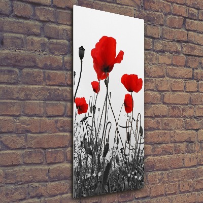 Modernes Acrylbild vertikal Wildmohn