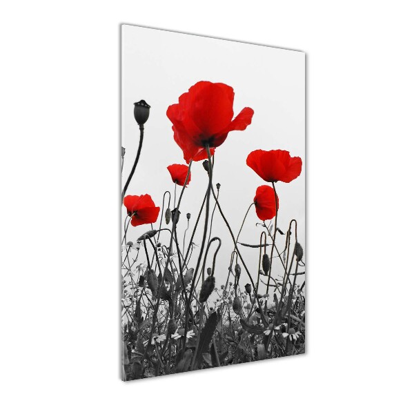 Modernes Acrylbild vertikal Wildmohn