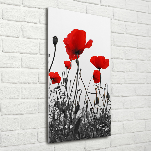 Modernes Acrylbild vertikal Wildmohn