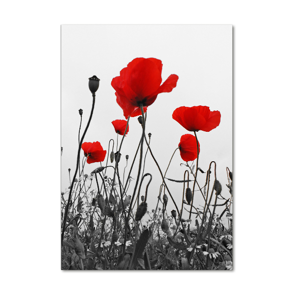 Modernes Acrylbild vertikal Wildmohn