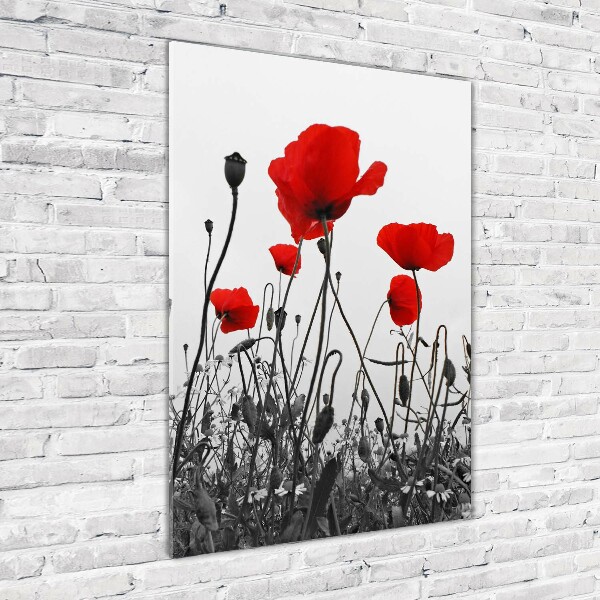 Modernes Acrylbild vertikal Wildmohn