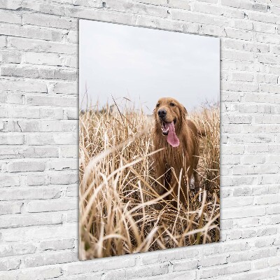 Acrylbild vertikal Golden Retriever