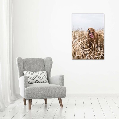 Acrylbild vertikal Golden Retriever