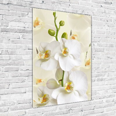Plexiglasbilder vertikal Weiße Orchidee