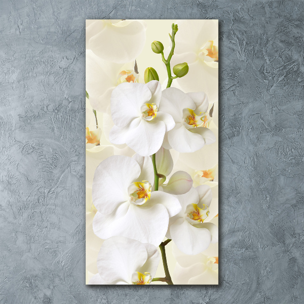 Plexiglasbilder vertikal Weiße Orchidee