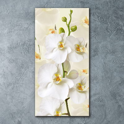 Plexiglasbilder vertikal Weiße Orchidee