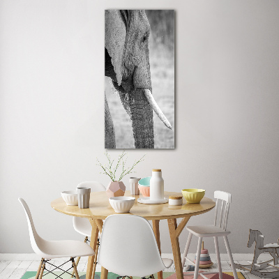 Plexiglasbilder vertikal Elefant