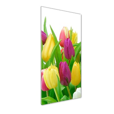 Bild auf Acrylglas vertikal Bunte Tulpen