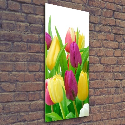 Bild auf Acrylglas vertikal Bunte Tulpen