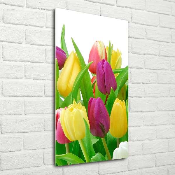 Bild auf Acrylglas vertikal Bunte Tulpen