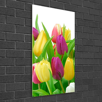 Bild auf Acrylglas vertikal Bunte Tulpen
