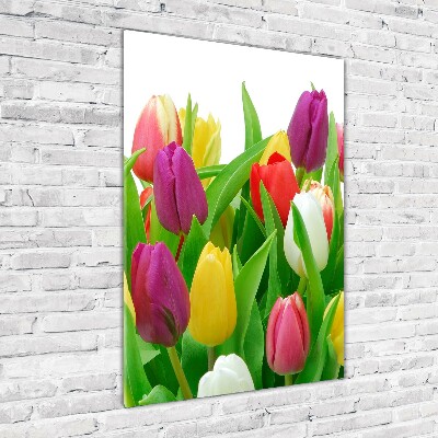 Bild auf Acrylglas vertikal Bunte Tulpen