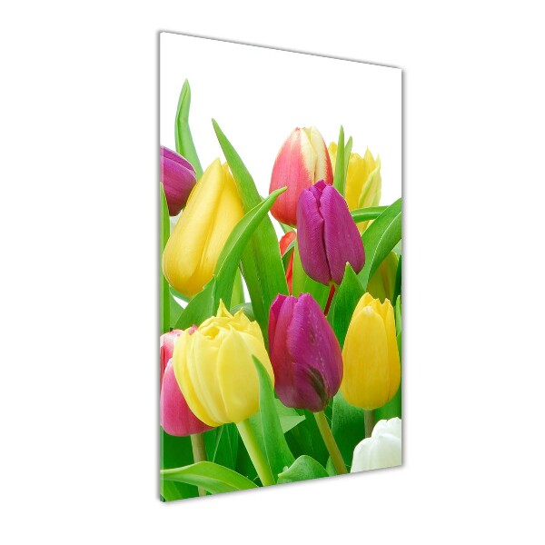 Bild auf Acrylglas vertikal Bunte Tulpen