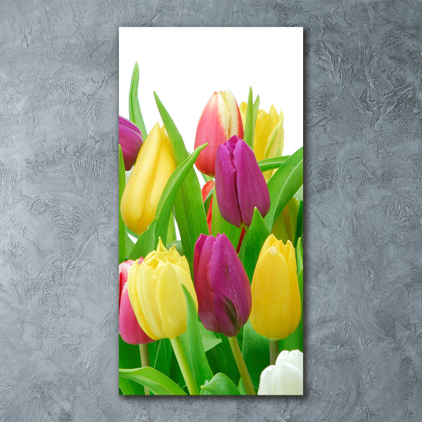 Bild auf Acrylglas vertikal Bunte Tulpen