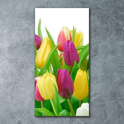 Bild auf Acrylglas vertikal Bunte Tulpen