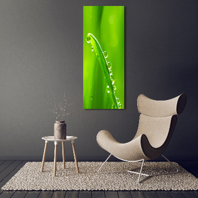 Plexiglasbilder vertikal Grashalme