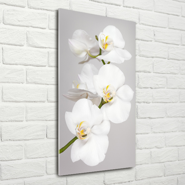 Modernes Acrylbild vertikal Weiße Orchidee