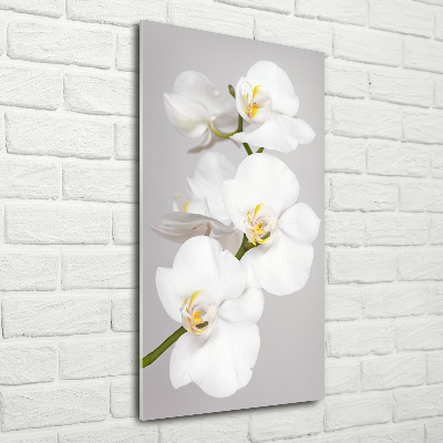 Modernes Acrylbild vertikal Weiße Orchidee