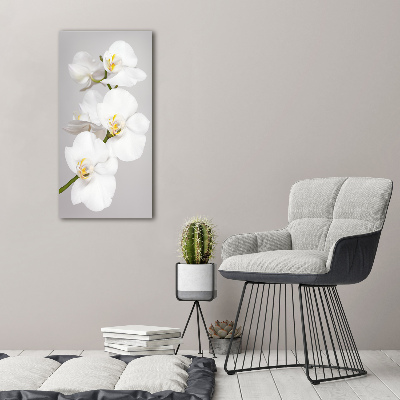Modernes Acrylbild vertikal Weiße Orchidee