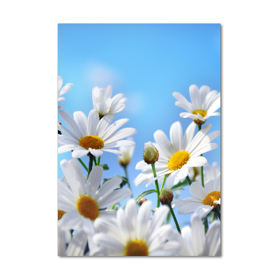 Acrylbild vertikal Gänseblümchen