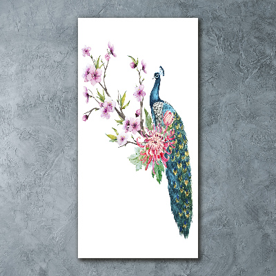 Bild auf Acrylglas vertikal Pfau und Blumen