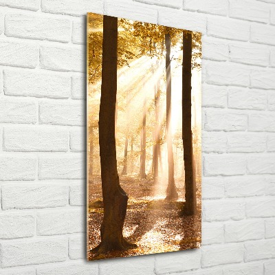 Bild auf Acrylglas vertikal Wald im Herbst