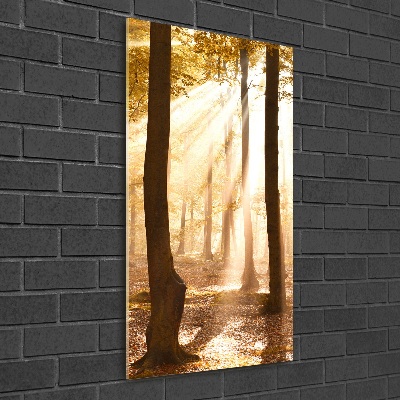 Bild auf Acrylglas vertikal Wald im Herbst