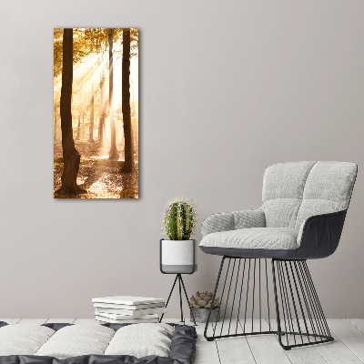 Bild auf Acrylglas vertikal Wald im Herbst