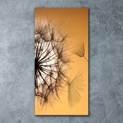 Bild auf Acrylglas vertikal Löwenzahn