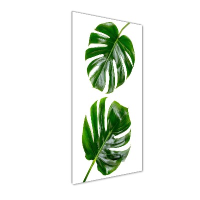 Bild auf Acrylglas vertikal Monstera