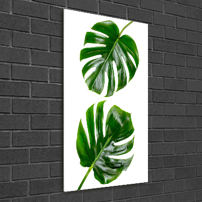 Bild auf Acrylglas vertikal Monstera