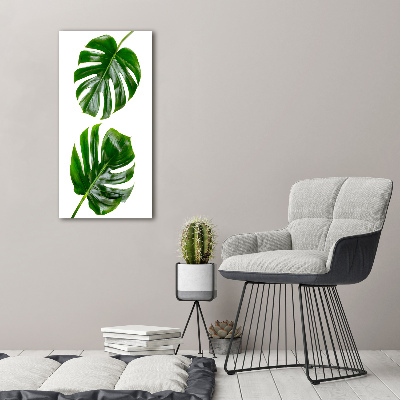 Bild auf Acrylglas vertikal Monstera