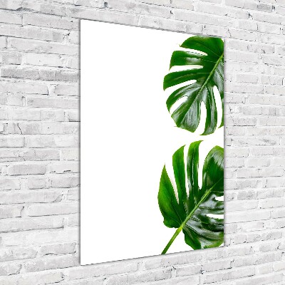 Bild auf Acrylglas vertikal Monstera